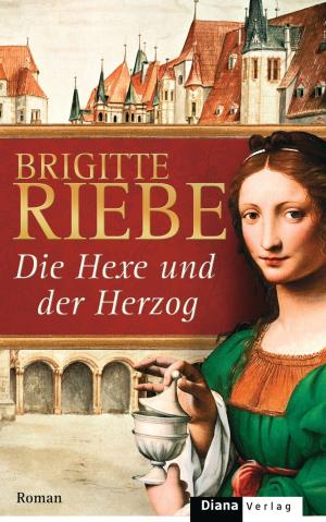 Cover of the book Die Hexe und der Herzog by Susanne Goga