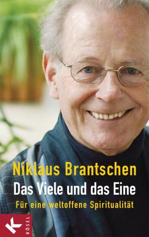 Cover of the book Das Viele und das Eine by Niklaus Brantschen SJ, Pia Gyger, Bernhard Stappel
