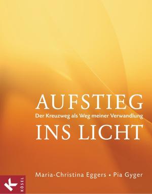 Book cover of Aufstieg ins Licht