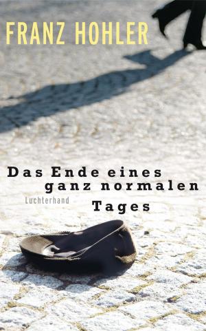 Book cover of Das Ende eines ganz normalen Tages
