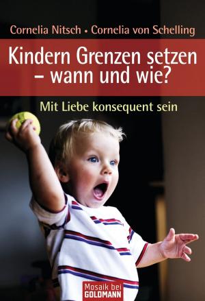 Book cover of Kindern Grenzen setzen - wann und wie?