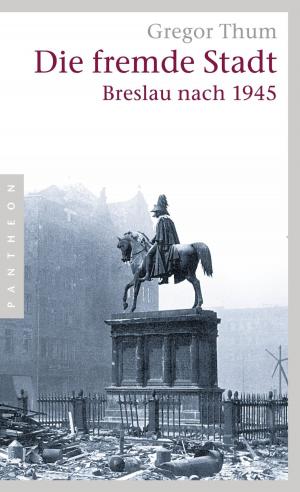 Book cover of Die fremde Stadt