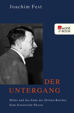 Cover of the book Der Untergang by Sophie Andresky