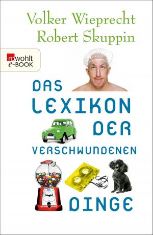 Book cover of Das Lexikon der verschwundenen Dinge