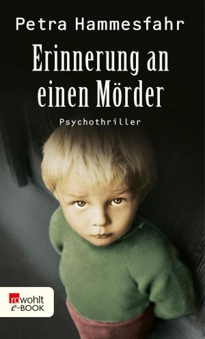 Cover of the book Erinnerung an einen Mörder by Andreas Winkelmann