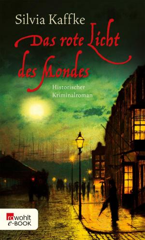 Book cover of Das rote Licht des Mondes