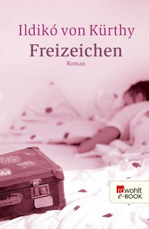Cover of the book Freizeichen by Paul Auster