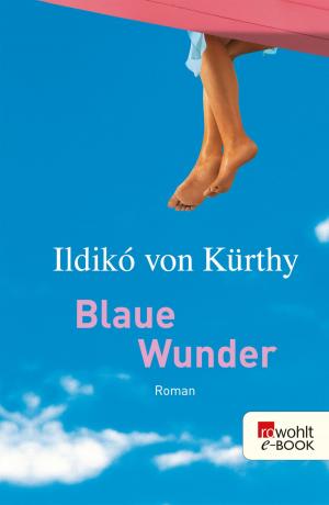 Cover of the book Blaue Wunder by Uwe Knop