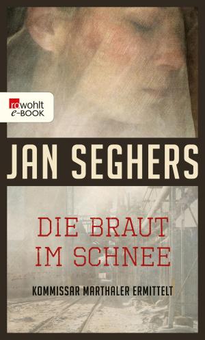 Cover of the book Die Braut im Schnee by Roald Dahl