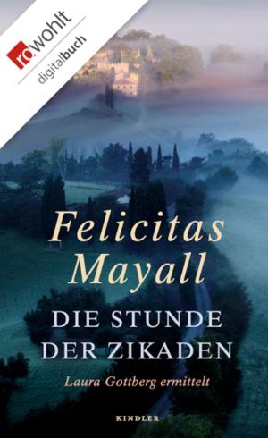 Book cover of Die Stunde der Zikaden