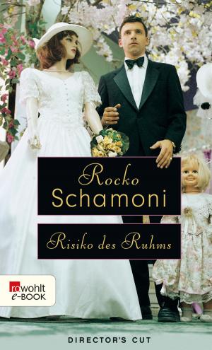Cover of the book Risiko des Ruhms by Inge Jens