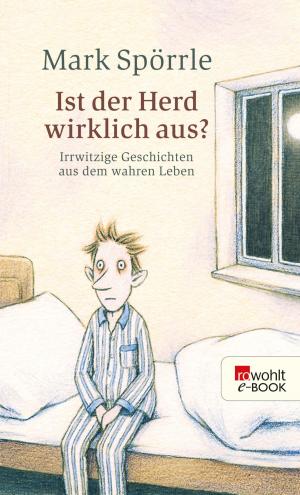 Cover of the book Ist der Herd wirklich aus? by Borwin Bandelow