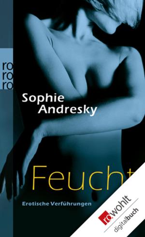 Cover of the book Feucht by Olaf Fritsche