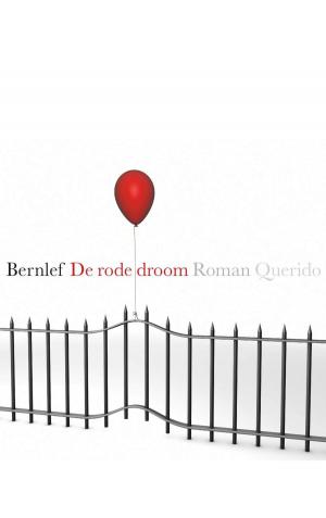 Cover of the book De rode droom by Toon Tellegen