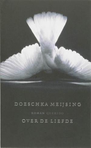Cover of the book Over de liefde by Kristien Hemmerechts