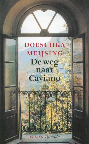 Cover of the book De weg naar Caviano by Vincent van Warmerdam