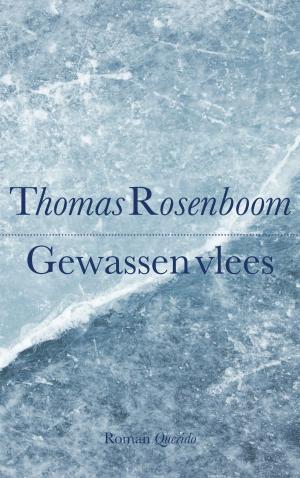 Cover of the book Gewassen vlees by Håkan Nesser