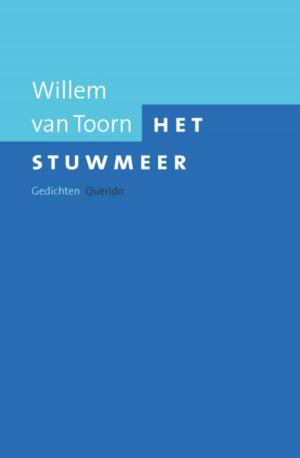 Cover of the book Het stuwmeer by Jenny Offill