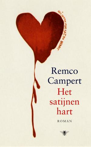 Cover of the book Het satijnen hart by Peter Terrin