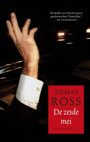 Cover of the book De zesde mei by Geert Lernout