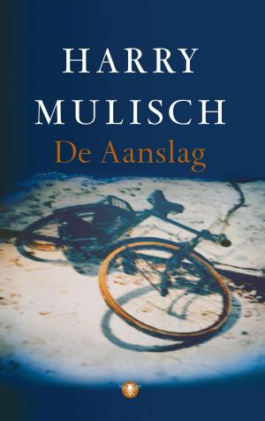 Cover of the book De aanslag by Michael Robotham
