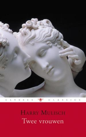 Cover of the book Twee vrouwen by Tonnus Oosterhoff