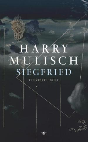 Cover of the book Siegfried by Jonathan Coe