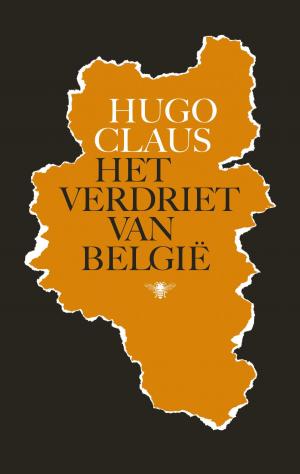 Book cover of Het verdriet van Belgie