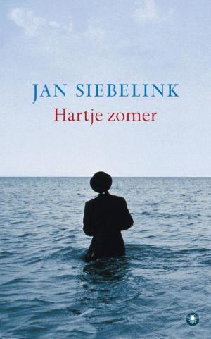 Cover of the book Hartje zomer by Emiel Hakkenes