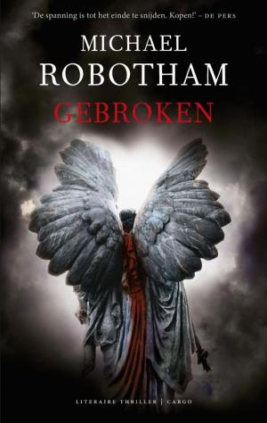 Cover of the book Gebroken by Rob Wijnberg