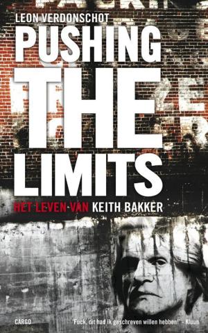 Cover of the book Pushing the limits by Jonathan Coe