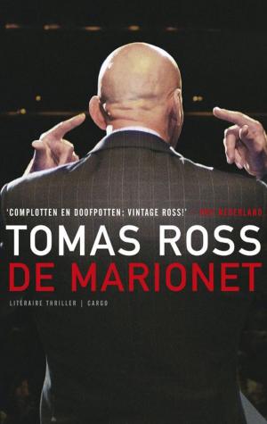 Cover of the book De marionet by Wim Daniëls