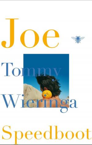 Cover of the book Joe Speedboot by Marten Toonder