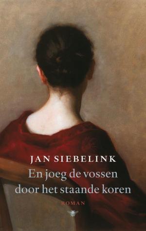 Cover of the book En joeg de vossen door het staande koren by Paul Verhaeghe