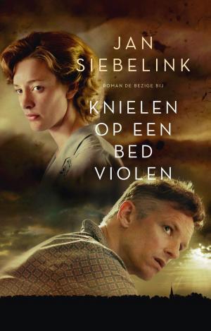 Cover of the book Knielen op een bed violen by Peter Terrin