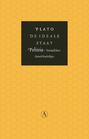 Cover of the book De ideale staat by Håkan Nesser