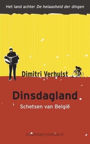 Cover of the book Dinsdagland by H.M. van den Brink