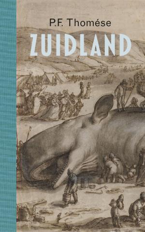 Cover of the book Zuidland by Felix Martin