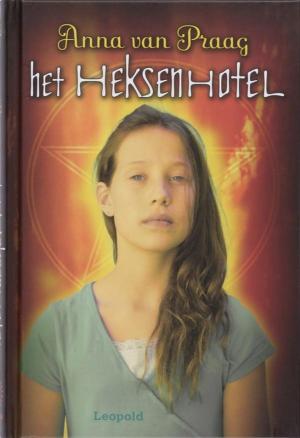 Cover of the book Het heksenhotel by Johan Fabricius