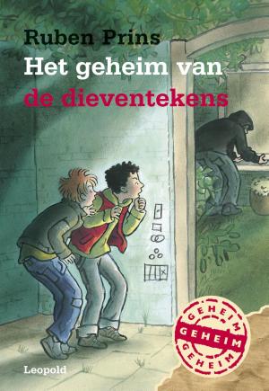 Cover of the book Het geheim van de dieventekens by Johan Fabricius