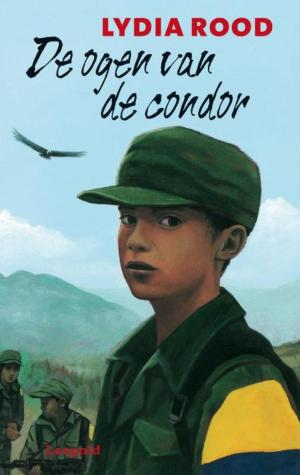 Book cover of Ogen van de condor