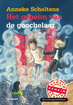 Cover of the book Het geheim van de goochelaar by Johan Fabricius