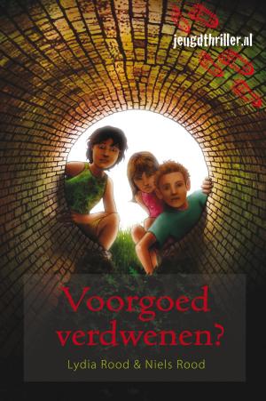 Cover of the book Voorgoed verdwenen? by Johan Fabricius