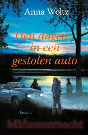 Cover of the book Tien dagen in een gestolen auto by Johan Fabricius