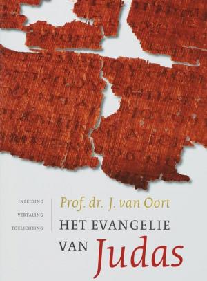 Cover of the book Het evangelie van Judas by Anke de Graaf