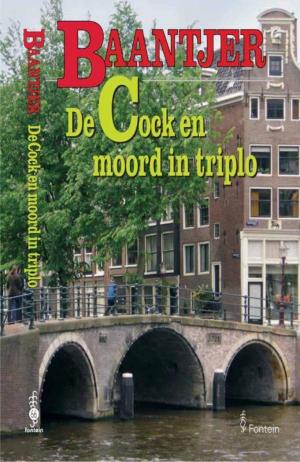 Cover of the book De Cock en moord in triplo by Olga van der Meer