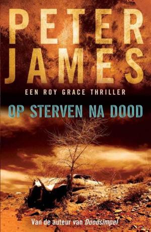 Cover of the book Op sterven na dood by Peter Römer, Baantjer