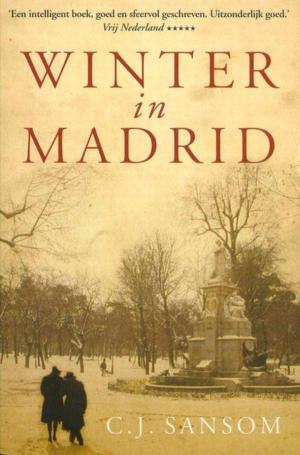 Cover of the book Winter in Madrid by Mirjam van der Vegt