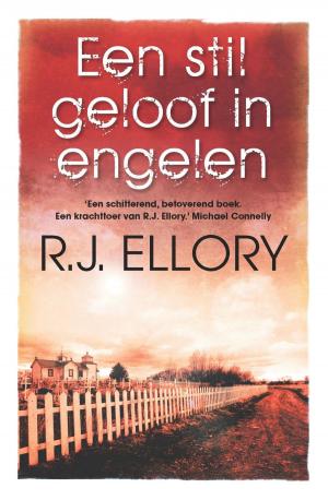 Cover of the book Een stil geloof in engelen by Erik van Zuydam