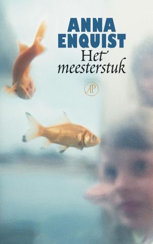 Cover of the book Het meesterstuk by Guus Kuijer